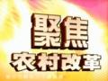 ȫ沿r(nng)ĸ Ƴl(xing)ԪY(ji)ϵK