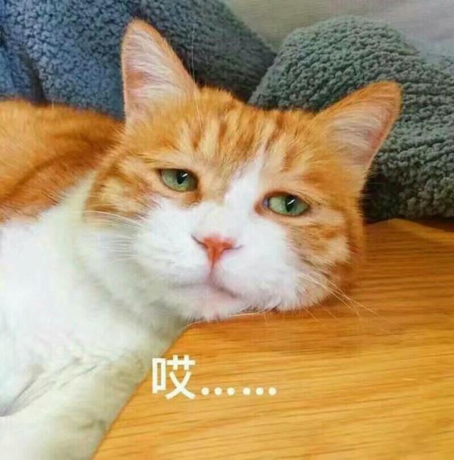 ²۴(hu)_(ti)ҪŮѡl(wi)ϴ^áW(wng)R