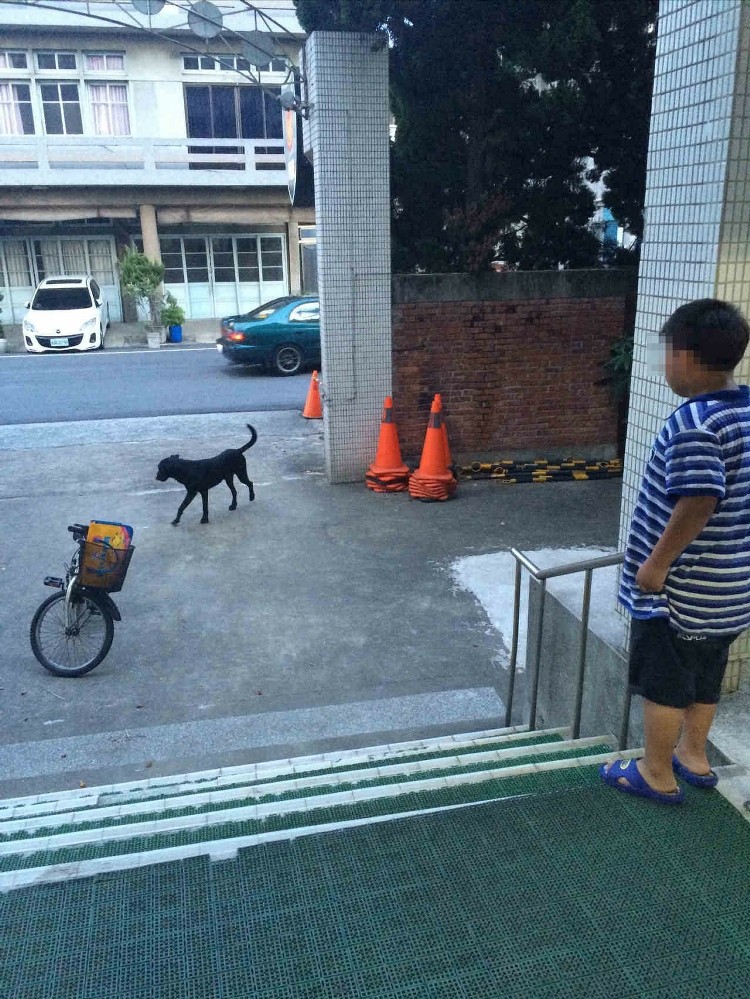 _ͯŌW(xu)·ڹ׷M(jn)ɳ(lin)ψ󡷈D