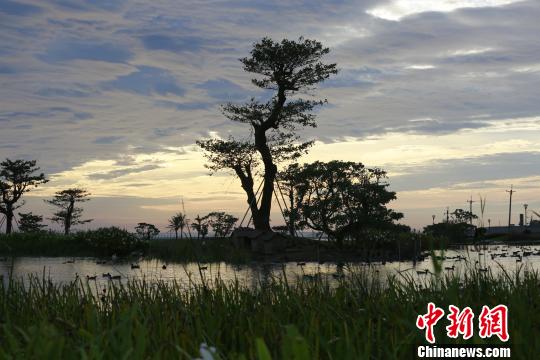 _(ti)I(y)ڻɏ조GɫĄ(chung)(zhn)