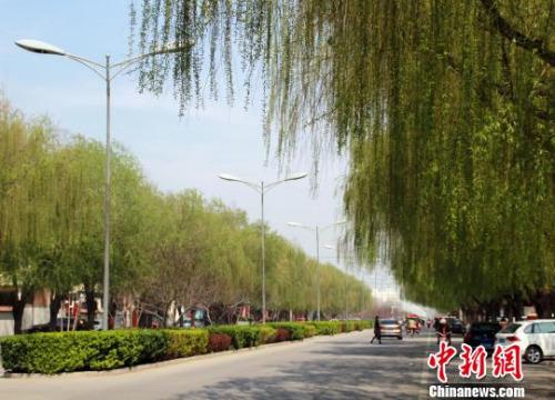 D鰲¿hֽ־ڿ z